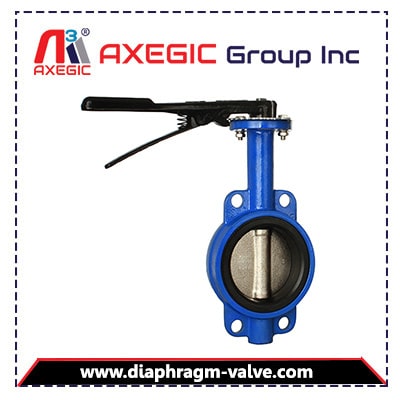 Butterfly Valve Manufacturer, Supplier and Exporter in Ahmedabad, Gujarat, India