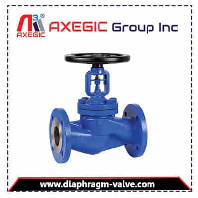 Manufacturer and Supplier of Globe Valve in Gujarat, India
