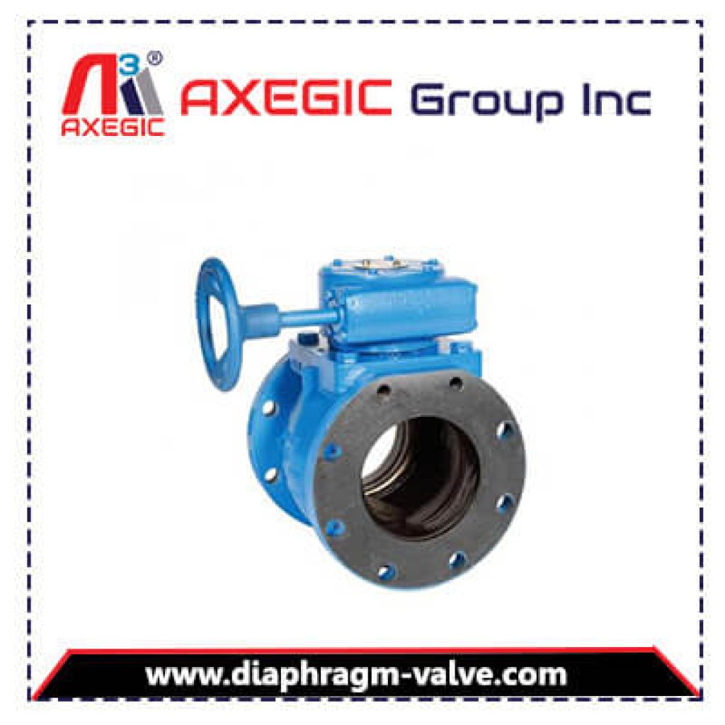 Top Plug Valve Manufacturer in India Axegic Group Inc