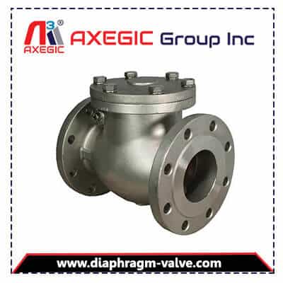 Swing Check Valves Manufacturer