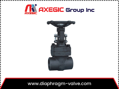 Forged Gate Valve Manufacturer in Ahmedabad
